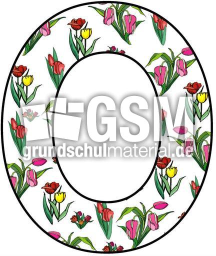 Tulpen-Buchstabe-O.jpg